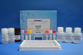 呋喃咜酮酶联免疫反应试剂盒