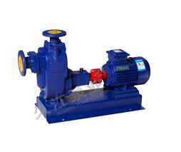 自吸式无堵塞排污泵 ZW80-50-60-22KW大功率污水泵 管道抽送